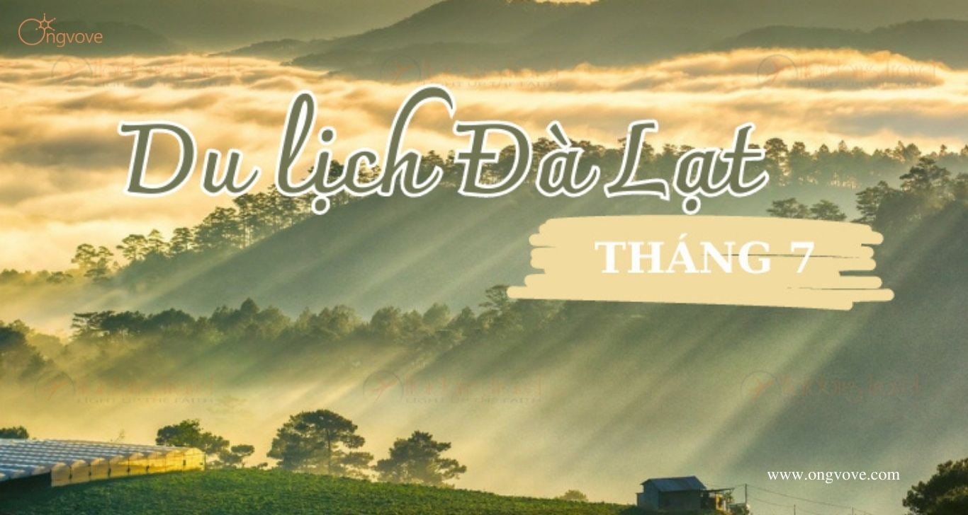 Du lịch Đà Lạt tháng 7 | Ngắm nhìn vẻ đẹp quyến rũ của các loài hoa