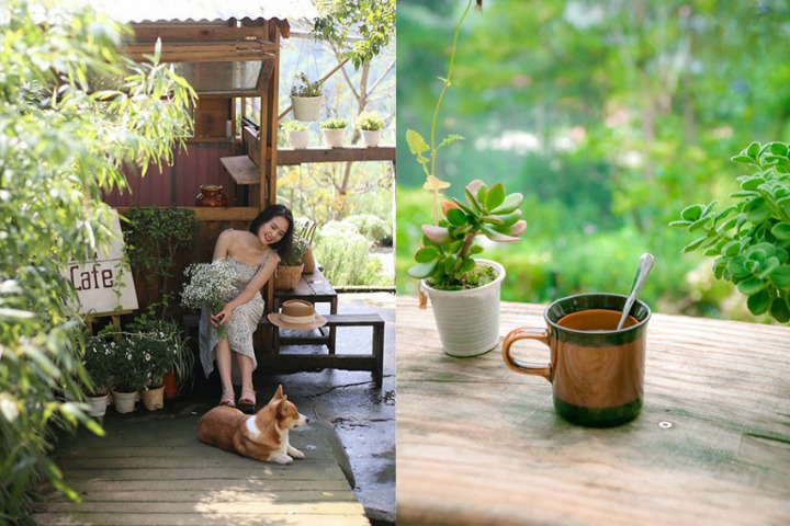 Góc nhỏ bình yên quán cafe