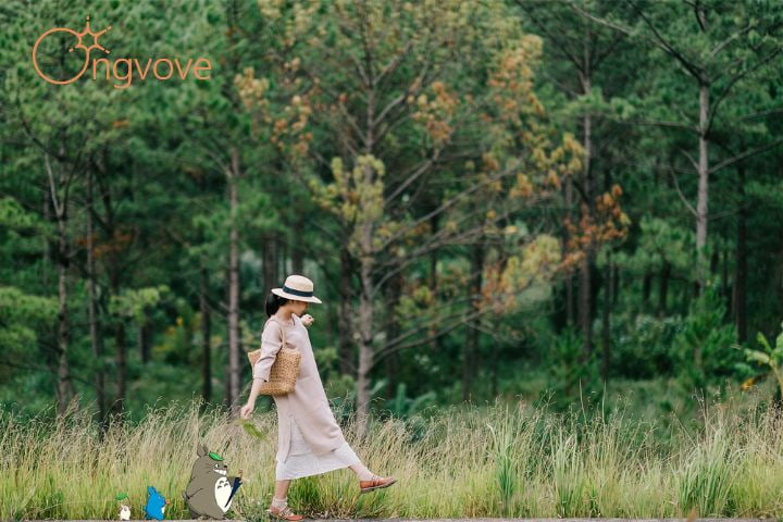Đến thành phố sương mù vây kín lối