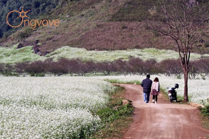 Thời tiết tháng 10 ở Đà Lạt