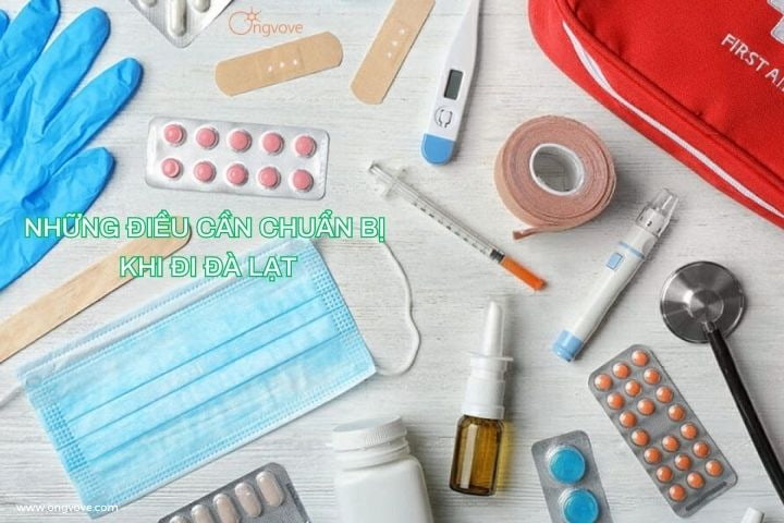 Những điều cần chuẩn bị khi đi Đà Lạt