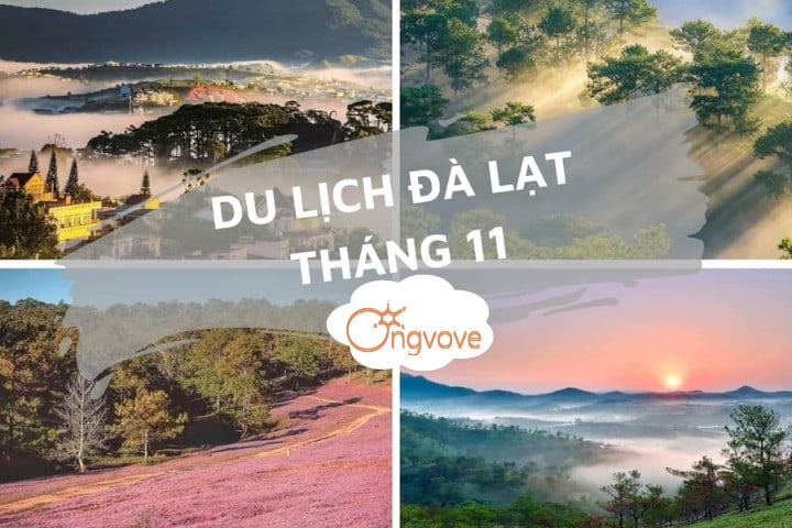 Du lịch Đà Lạt tháng 11