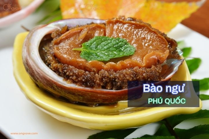 Bào ngư Phú Quốc có bao nhiêu loại