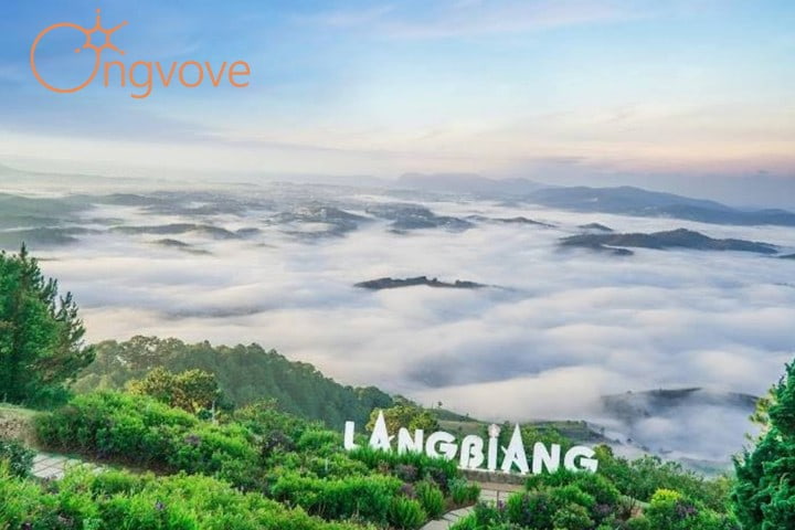 Các điểm đến mới nhất Đà Lạt