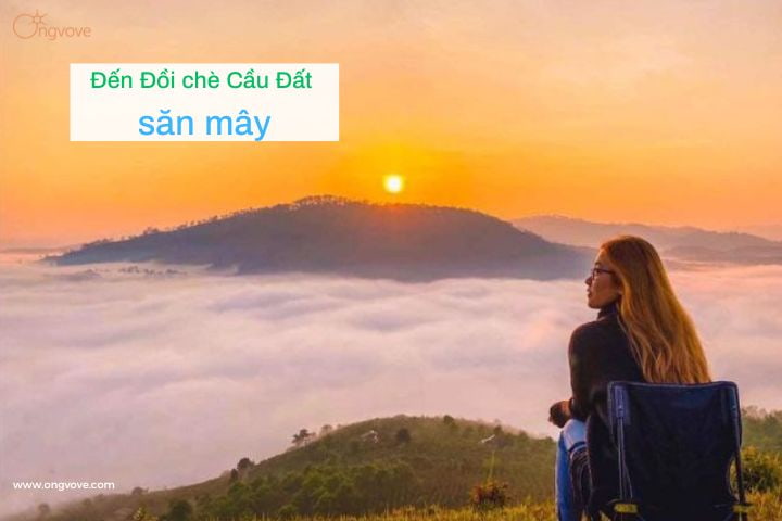 Đồi chè Cầu Đất