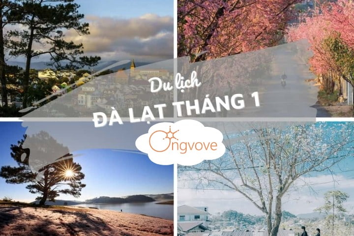 Du lịch Đà Lạt tháng 1