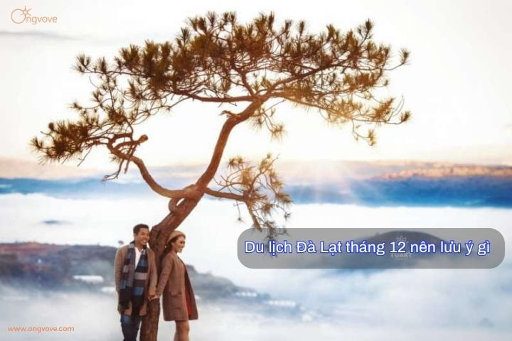 Du lịch Đà Lạt tháng 12 nên lưu ý gì