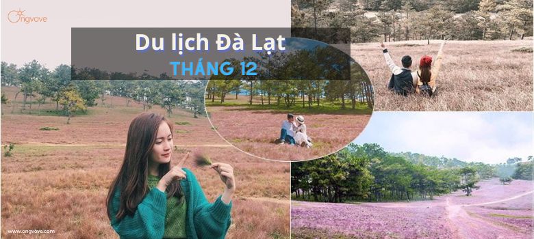 Du lịch Đà Lạt tháng 12 có gì HOT và mùa lễ hội cuối năm