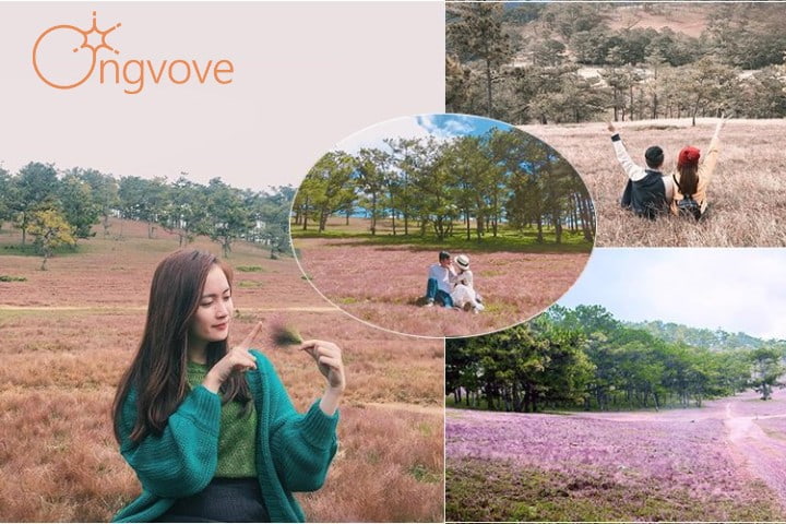 Trải nghiệm hấp dẫn khi đi Đà Lạt tháng 12