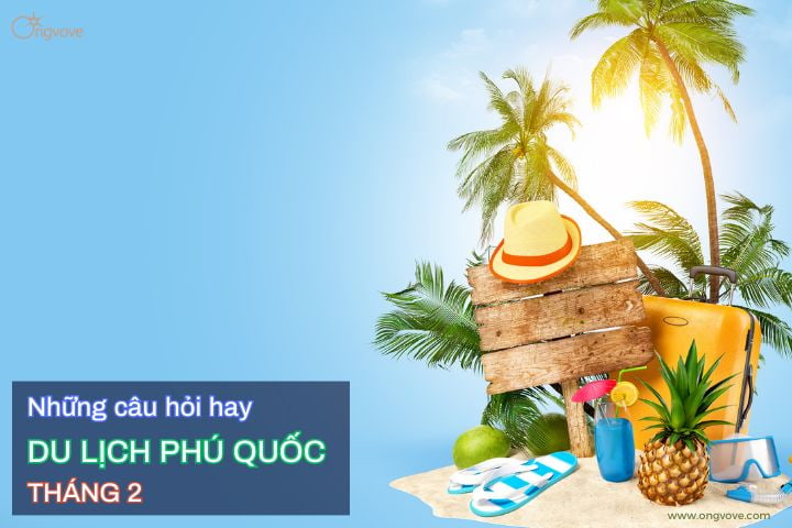 câu hỏi hay gặp khi du lịch Đà Lạt tháng 2
