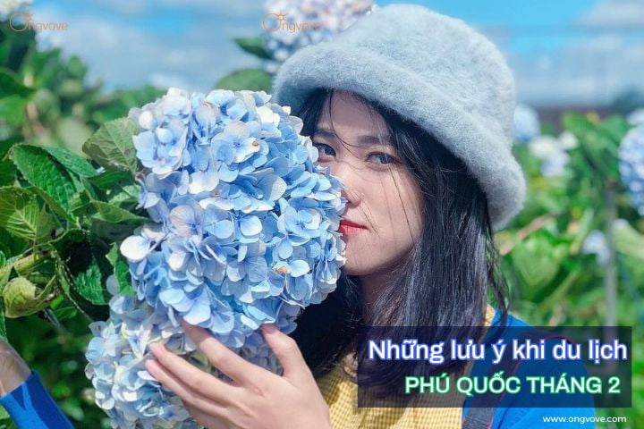 lưu ý khi du lịch Đà Lạt tháng 2