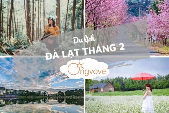 Có nên đến Đà Lạt vào thời điểm tháng 2 không ?