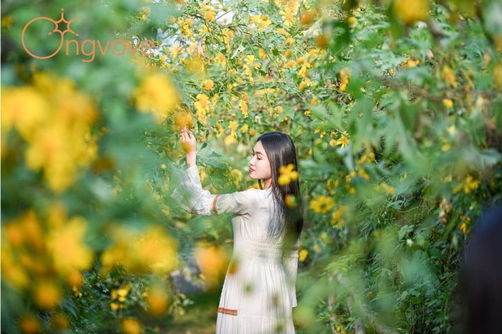 Đà Lạt mùa này có gì ?