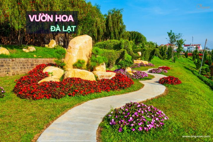 Vườn hoa thành phố
