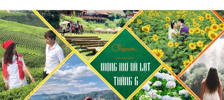 Đà Lạt tháng 6: Những lưu ý với kiểu thời tiết "khó chiều"