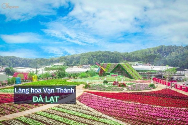 Làng hoa Vạn Thành