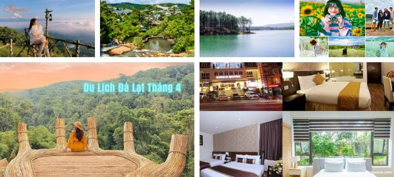 Du lịch Đà Lạt tháng 4 có gì đẹp | Vẻ đẹp mộng mơ của xứ sở ngàn hoa đua sắc