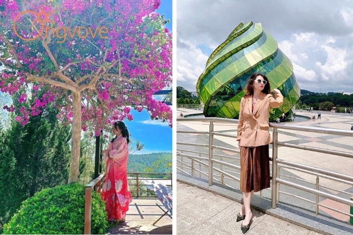 Kinh nghiệm vui chơi tại Đà Lạt vào tháng 3