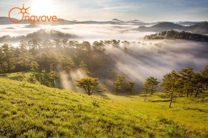 Khám phá nét đẹp của mùa thu Đà Lạt