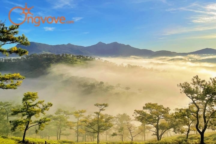 Thời tiết Đà Lạt vào mùa Đông