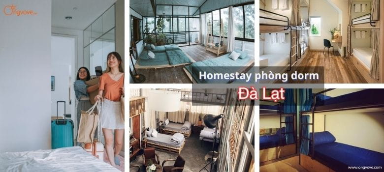 Homestay phòng dorm ở Đà Lạt đẹp như mơ giá cả bình dân