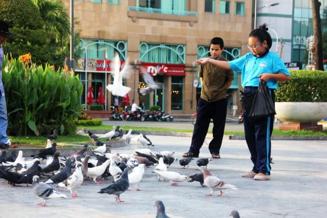 hình ảnh các em bé và bầy bồ câu