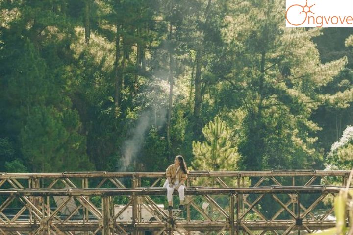 Người Đà Lạt hiền hòa và ấm áp