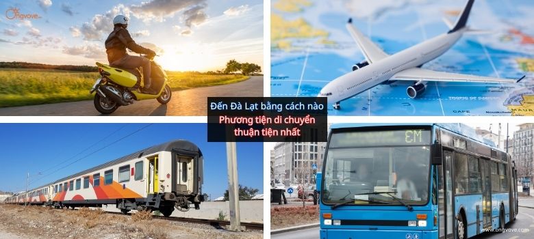 Đến Đà Lạt bằng cách nào ? Phương tiện di chuyển thuận tiện nhất