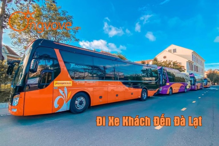 Đi Xe Khách Đến Đà Lạt Chất Lượng Tốt Nhất 2023