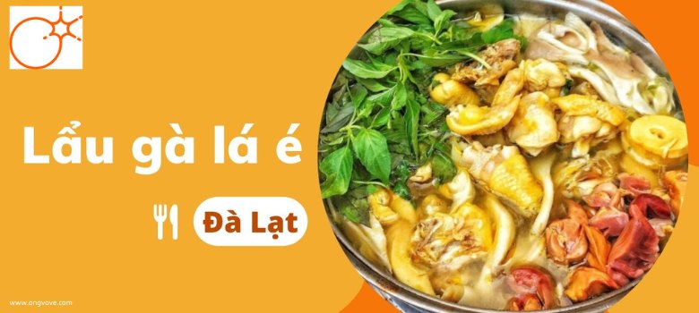 Bỏ túi ngay 14 địa chỉ quán lẩu gà lá é ngon nức tiếng tại Đà Lạt