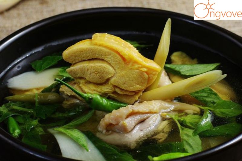 Lẩu gà lá é Huỳnh Thúc Kháng Đà Lạt