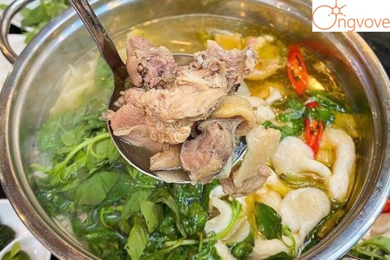 Lẩu gà lá é Nam Anh Phát – Ẩm Thực Tây Nguyên