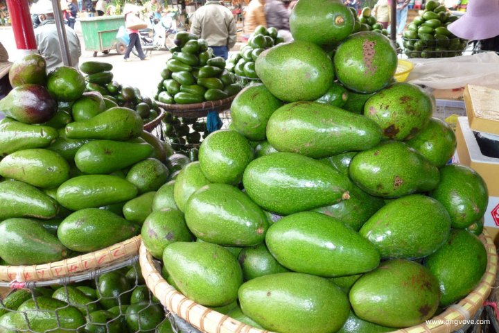 Giá bơ sáp Đà Lạt tại các chợ 