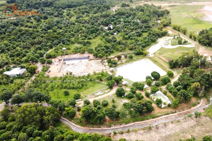 Dép Tổ Ong Farmstay