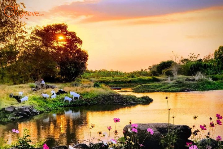 Hoàng Hạc Gia Trang