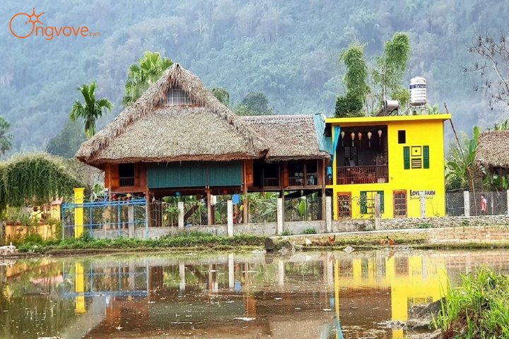 Xôi Farmstay