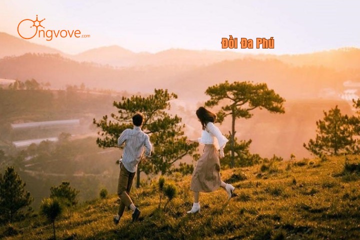 Đồi Đa Phú Đà Lạt