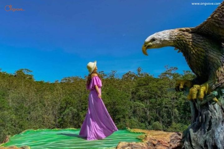 Đảo chim Đại Bàng