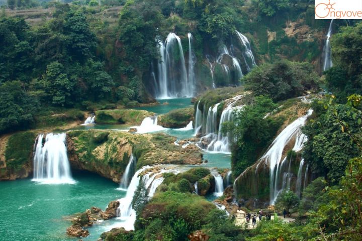 Giá vé Khu du lịch thác Cam Ly