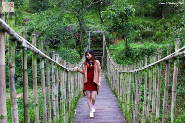 Ma Rừng Lữ Quán Đà Lạt ở đâu