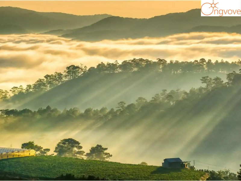 Cách di chuyển Trại Mát Đà Lạt bằng cách nào
