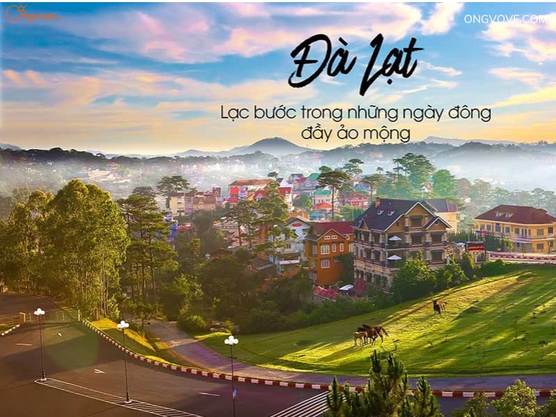 Trải nghiệm Đà Lạt - Thành phố mộng mơ dành cho mọi lứa tuổi