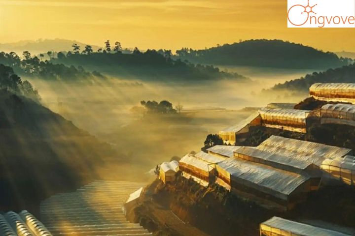 Địa điểm săn mây Đà Lạt - Trại Mát