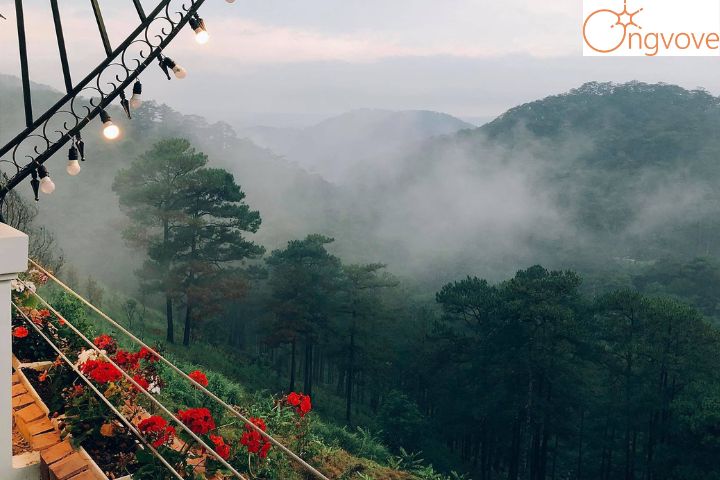 Horizon Đà Lạt – Coffee săn mây