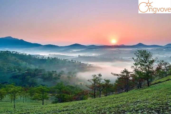 Săn mây Đà Lạt ở Đồi Du Sinh