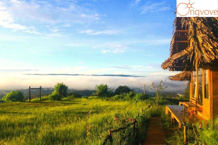 Săn mây Đà Lạt tại Bình Yên homestay