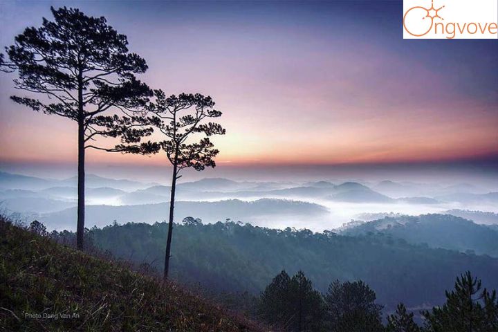 Săn mây Đà Lạt tại Đỉnh Hòn Bồ