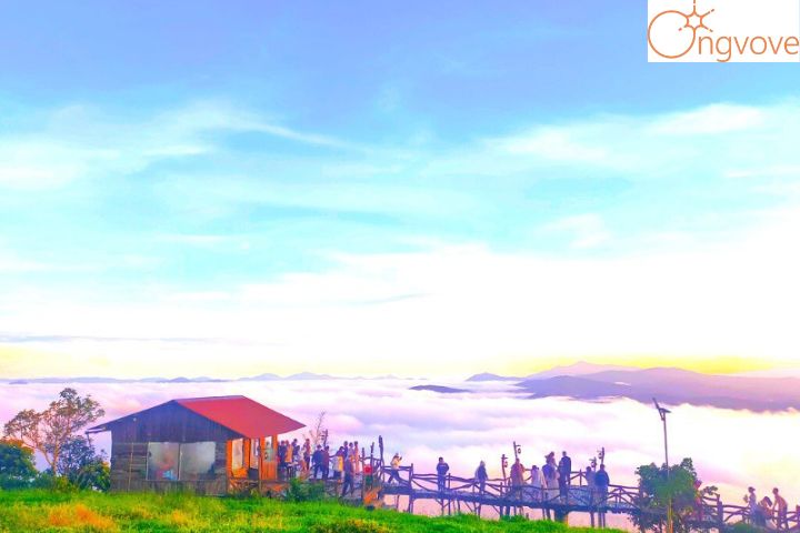 Săn mây Đà Lạt tại đồi chè Cầu Đất