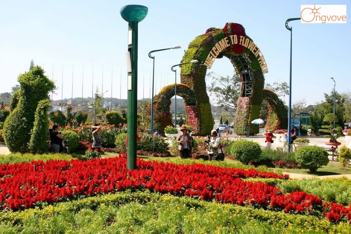 Lịch sử hình thành và phát triển của vườn hoa Đà Lạt