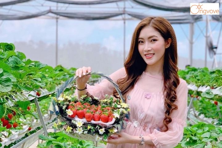 15. Vườn dâu tây Đà Lạt Khả Hân